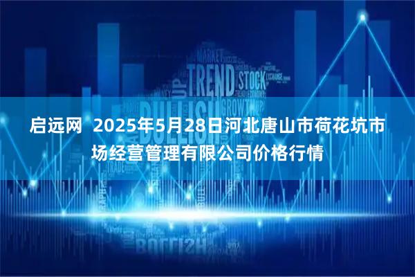 启远网  2025年5月28日河北唐山市荷花坑市场经营管理有限公司价格行情