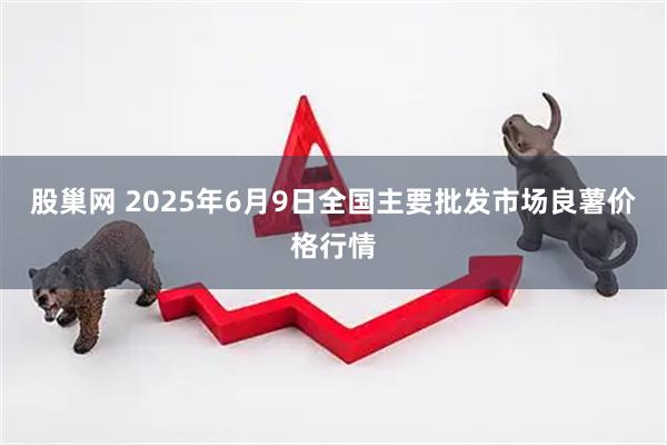 股巢网 2025年6月9日全国主要批发市场良薯价格行情