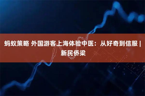 蚂蚁策略 外国游客上海体验中医：从好奇到信服 | 新民侨梁