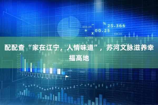 配配查 “家在江宁，人情味道”，苏河文脉滋养幸福高地