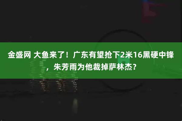 金盛网 大鱼来了！广东有望抢下2米16黑硬中锋，朱芳雨为他裁掉萨林杰？