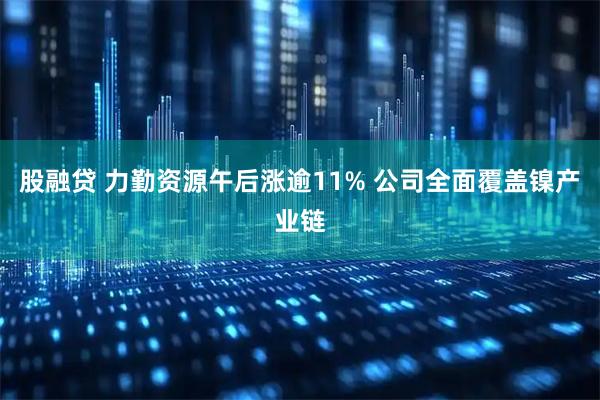 股融贷 力勤资源午后涨逾11% 公司全面覆盖镍产业链