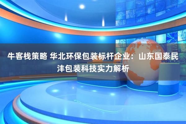牛客栈策略 华北环保包装标杆企业：山东国泰民沣包装科技实力解析
