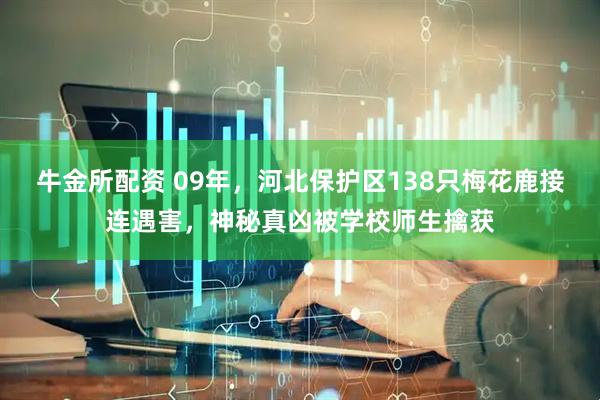 牛金所配资 09年，河北保护区138只梅花鹿接连遇害，神秘真凶被学校师生擒获