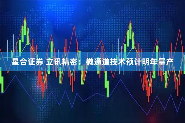 星合证券 立讯精密：微通道技术预计明年量产