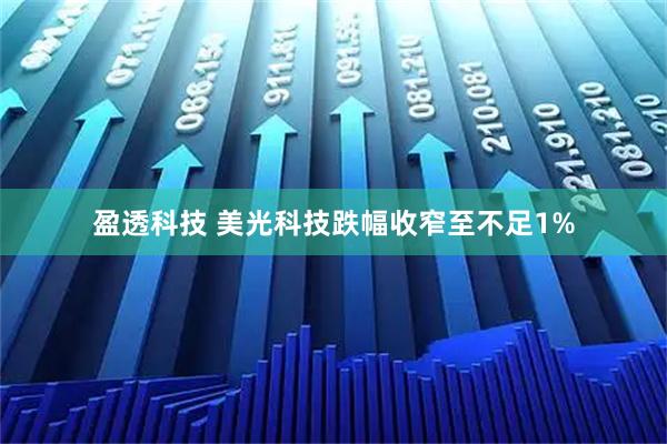 盈透科技 美光科技跌幅收窄至不足1%