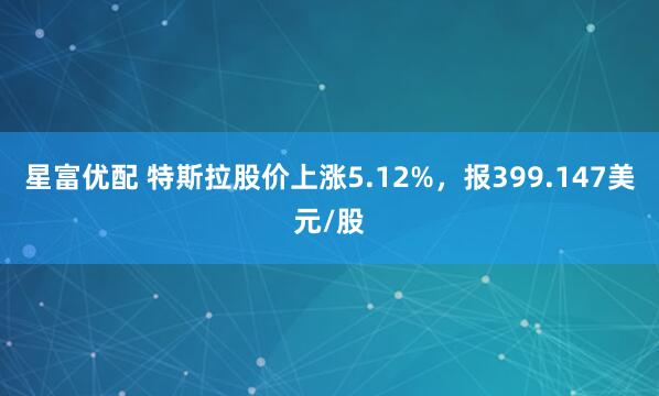 星富优配 特斯拉股价上涨5.12%，报399.147美元/股
